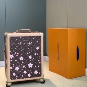Louis Vuitton travel bag