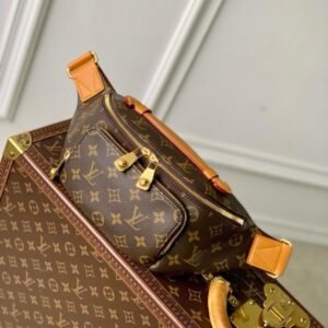 Louis Vuitton Belt bag